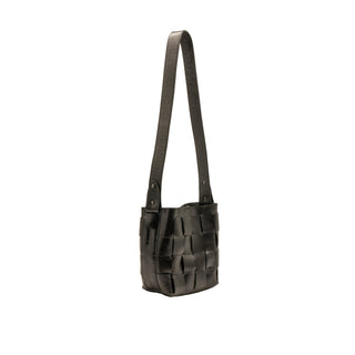 COYOTE